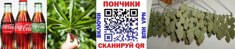 Canna-Cookies марихуана Шарья