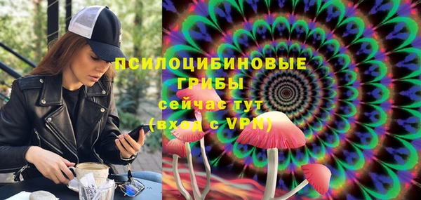 марки lsd Абаза