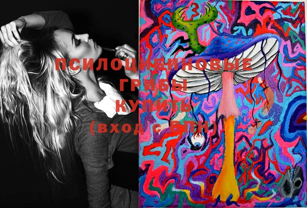 марки lsd Абаза