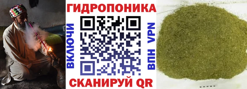 сколько стоит  Шарья  Канабис конопля 